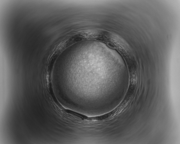 X0000097881108200803211328
