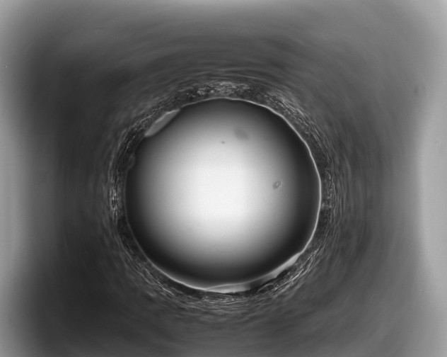 X0000097881109200803211328
