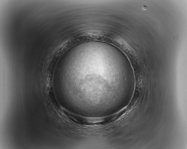 X0000097881110200803211328