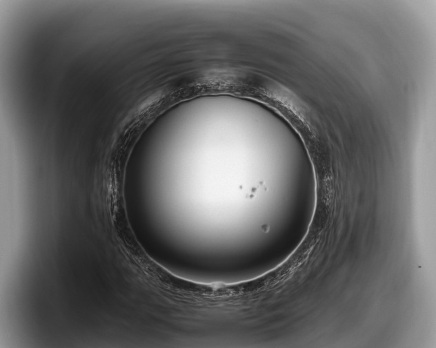 X0000097881111200803211328