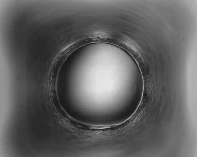 X0000097881112200803211329
