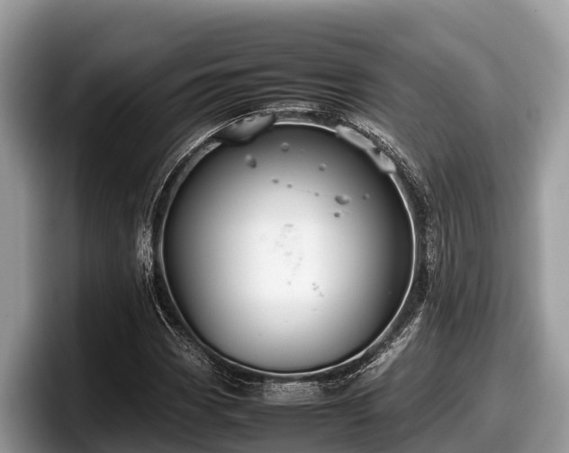 X0000097881113200803211329