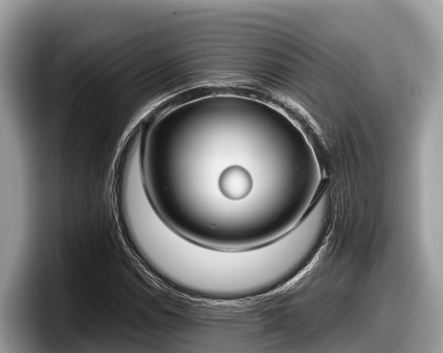X0000097881114200803211329