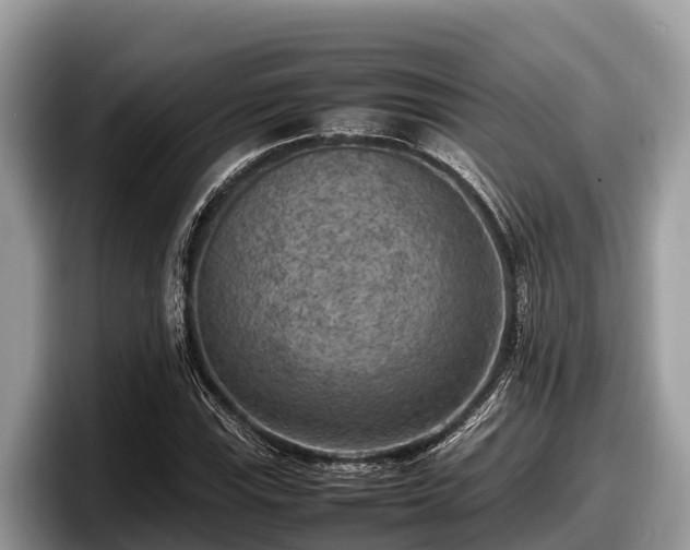 X0000097881115200803211329