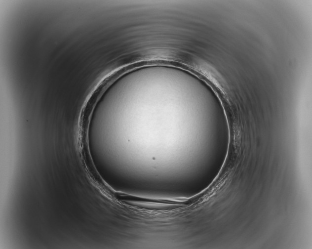 X0000097881116200803211329
