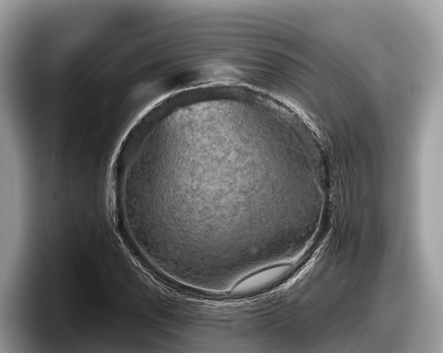 X0000097881118200803211329