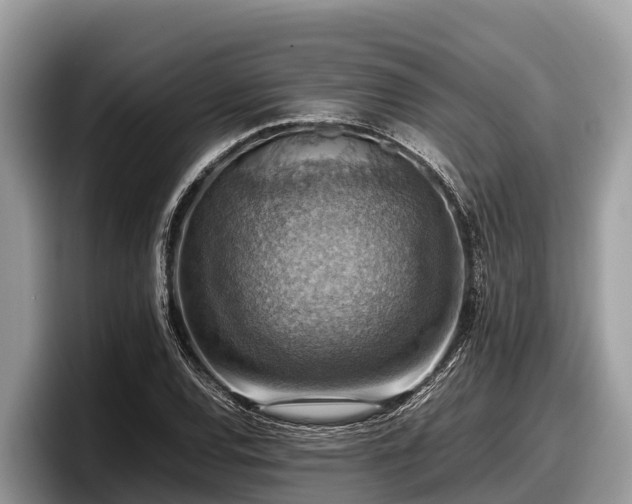 X0000097881120200803211329