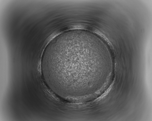 X0000097881121200803211329