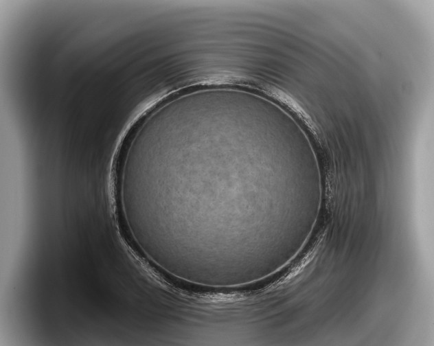 X0000097881122200803211329