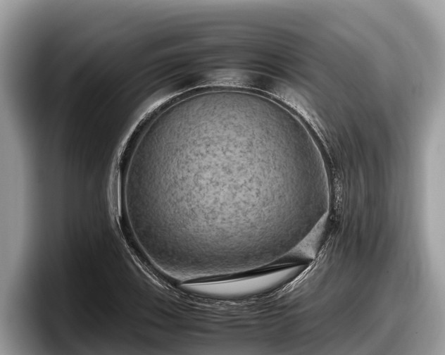 X0000097881123200803211329