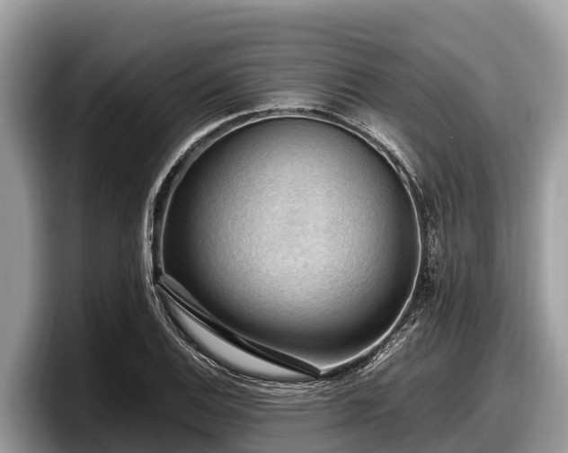 X0000097881124200803211329