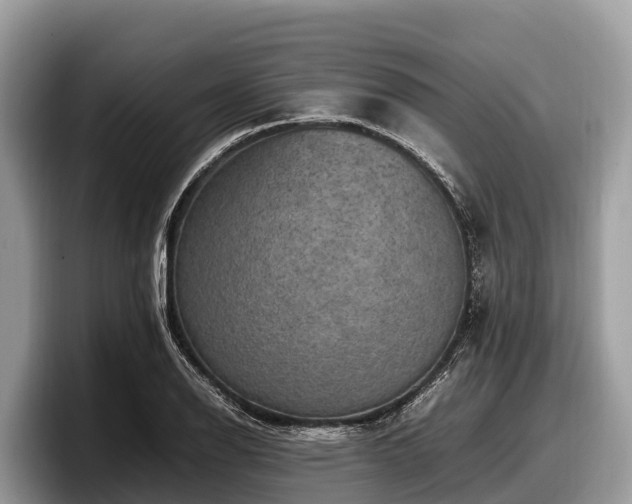 X0000097881126200803211329