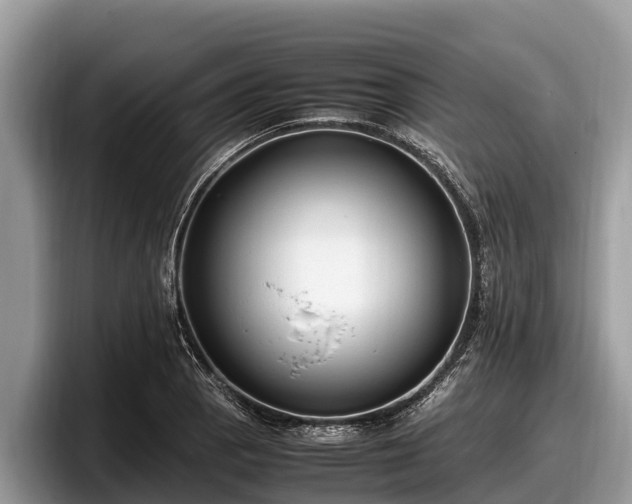 X0000097881129200803211329