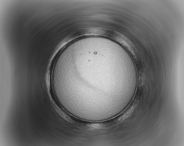 X0000097881130200803211329