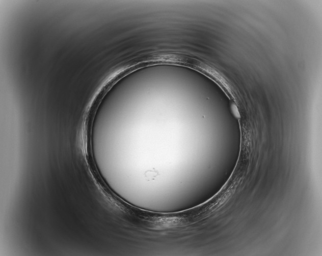 X0000097881131200803211329