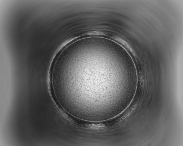 X0000097881133200803211329