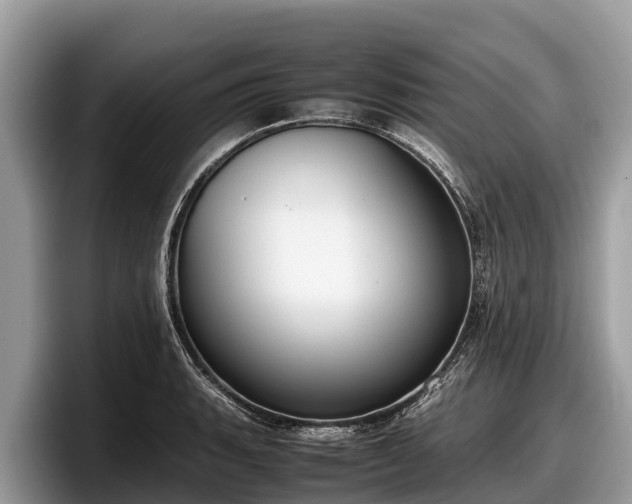 X0000097881135200803211329
