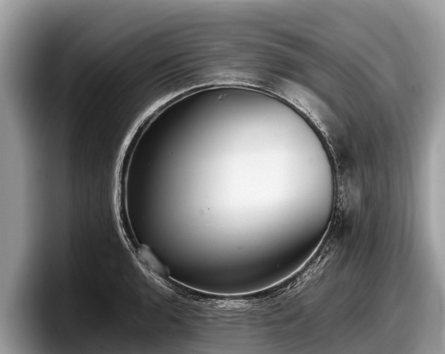 X0000097881136200803211329