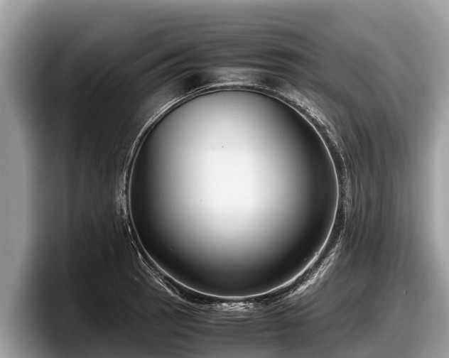 X0000097881137200803211329