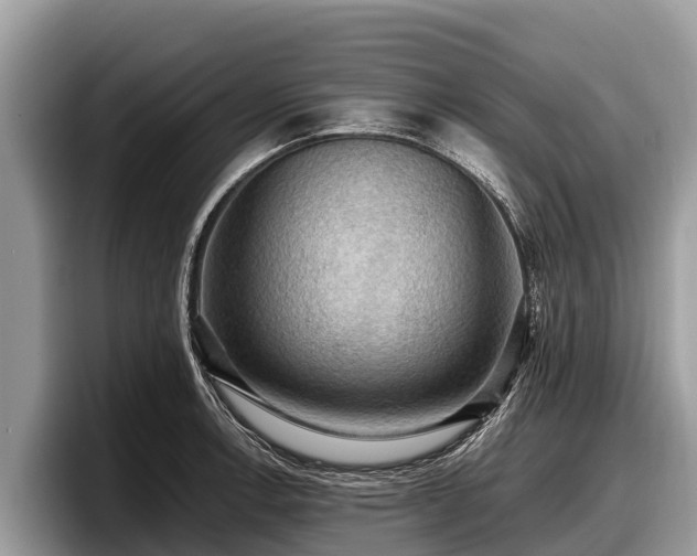 X0000097881138200803211329