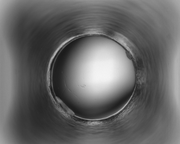 X0000097881140200803211329