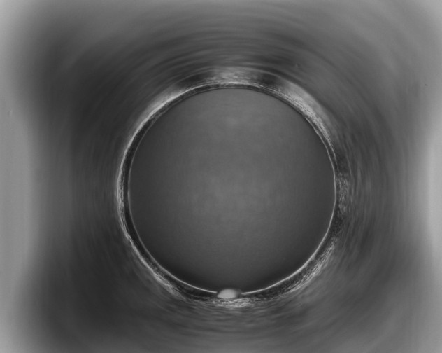 X0000097881141200803211329