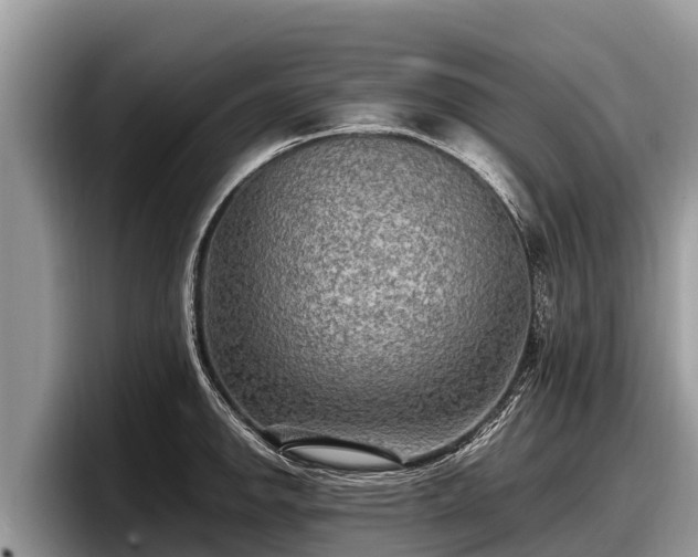 X0000097881142200803211329