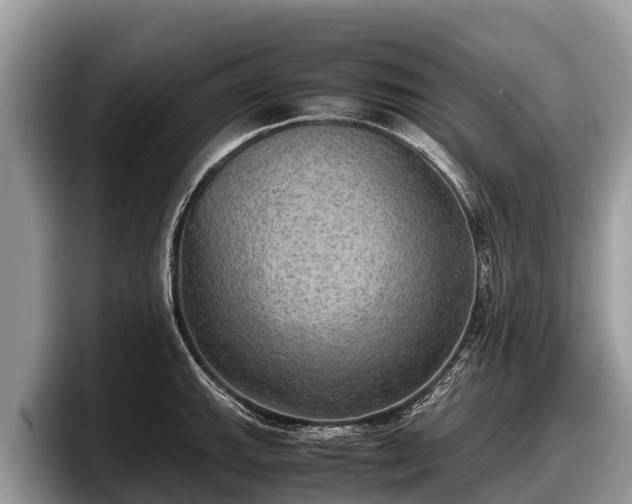 X0000097881143200803211329