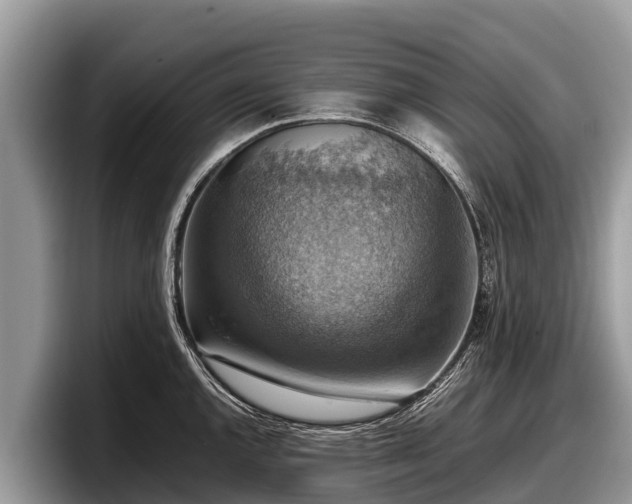 X0000097881144200803211329