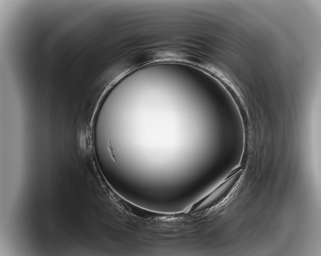 X0000097881145200803211329