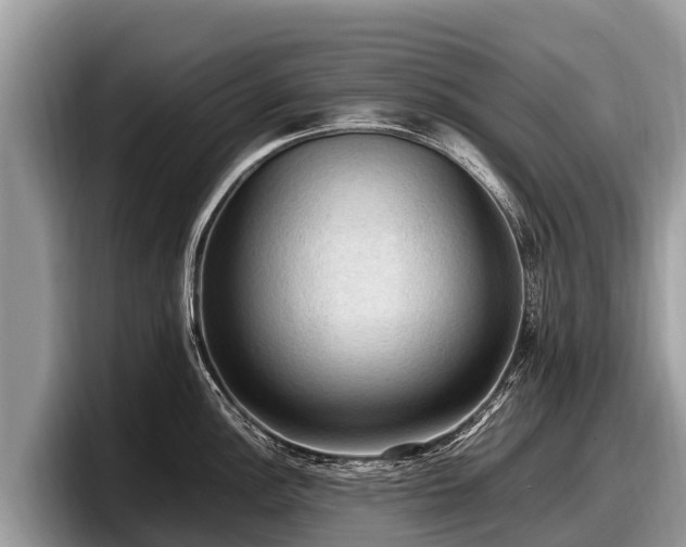 X0000097881148200803211329