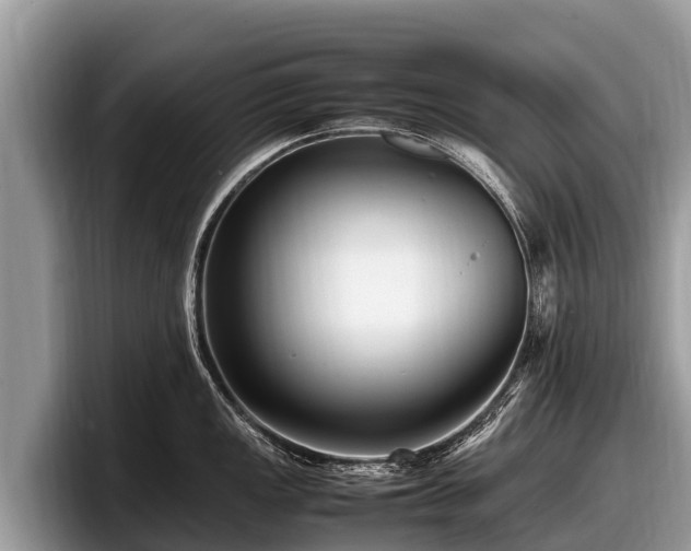 X0000097881149200803211329