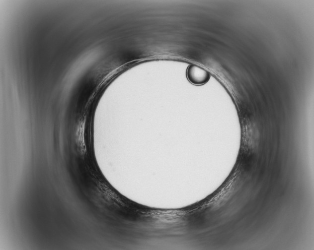 X0000097881150200803211329