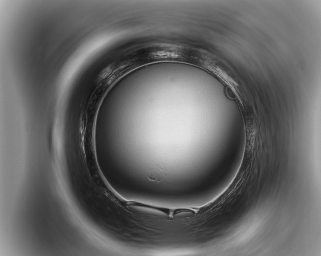 X0000097881151200803211329