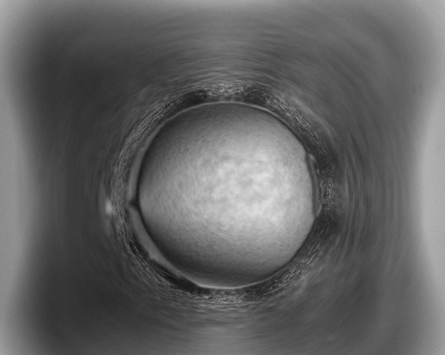 X0000097881153200803211328