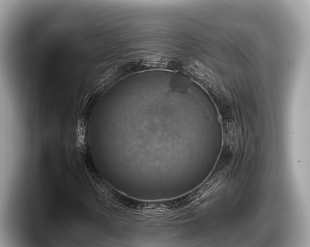X0000097881154200803211328