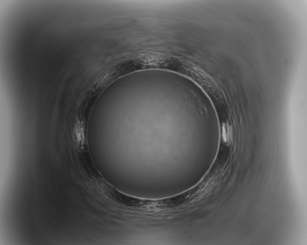 X0000097881155200803211328