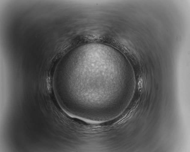 X0000097881156200803211328