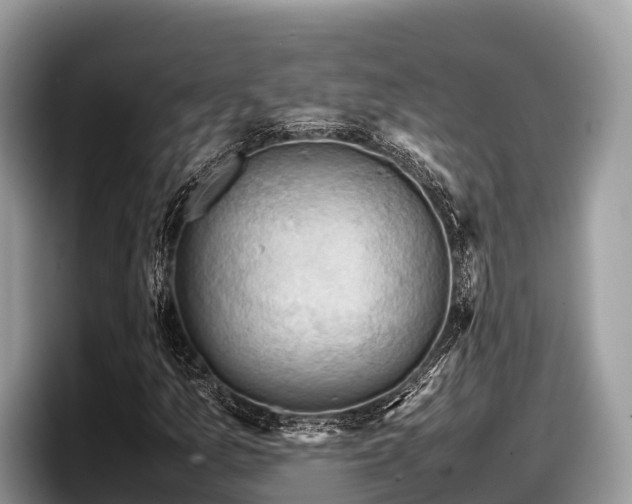 X0000097881157200803211328