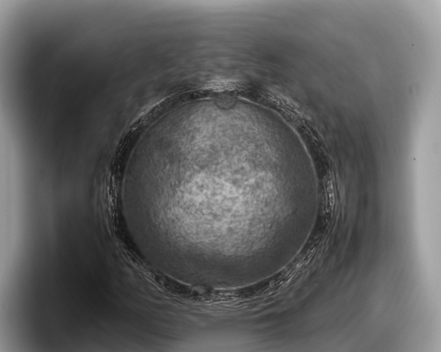 X0000097881158200803211328