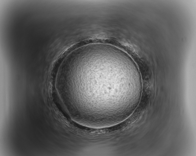 X0000097881159200803211328