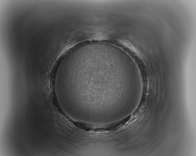 X0000097881160200803211328