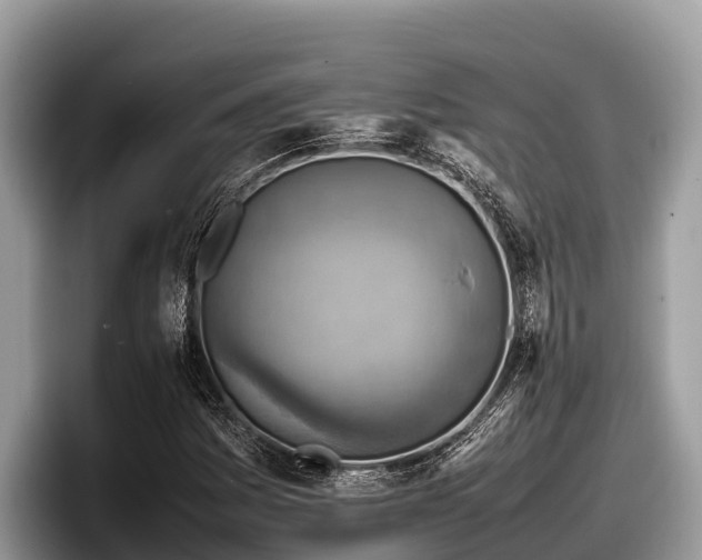 X0000097881161200803211328