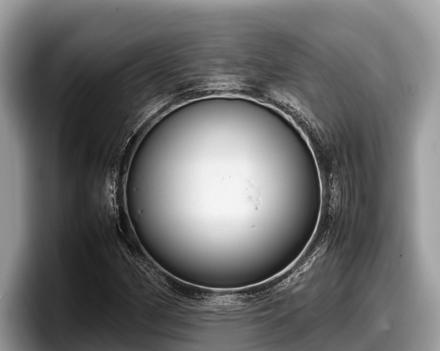 X0000097881162200803211328