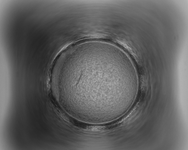 X0000097881163200803211328