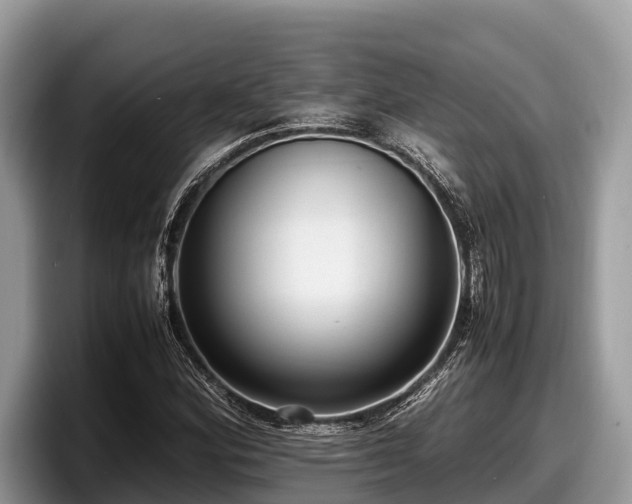 X0000097881164200803211328