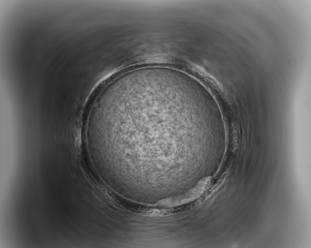 X0000097881166200803211328