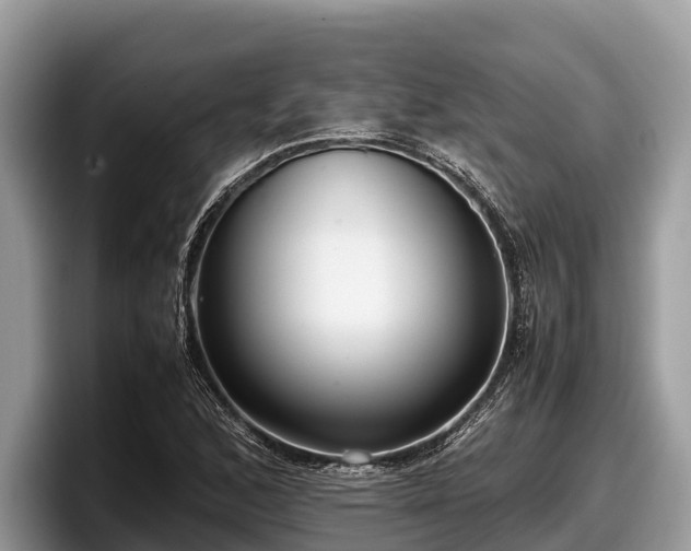X0000097881168200803211328