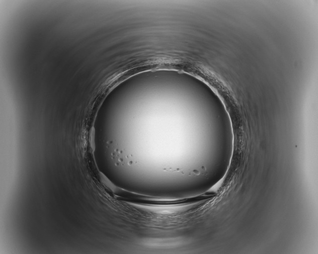 X0000097881169200803211328