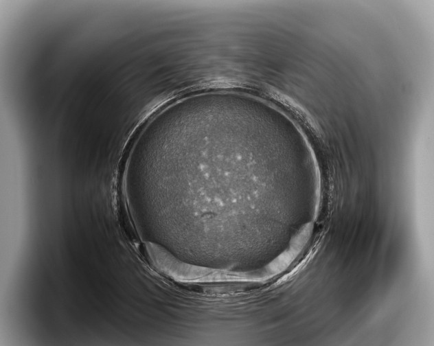 X0000097881170200803211328